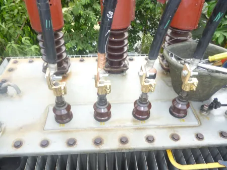Treatment Trafo 18